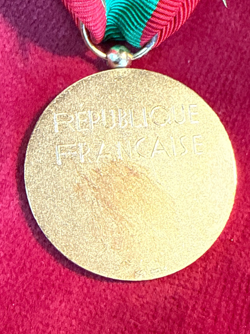 Médaille – Famille Française – Collection – Métal doré et ruban