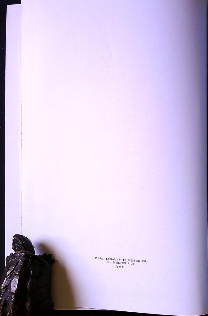 Livre – Jules Verne – Roman – Édition Michel de l'ormeraie