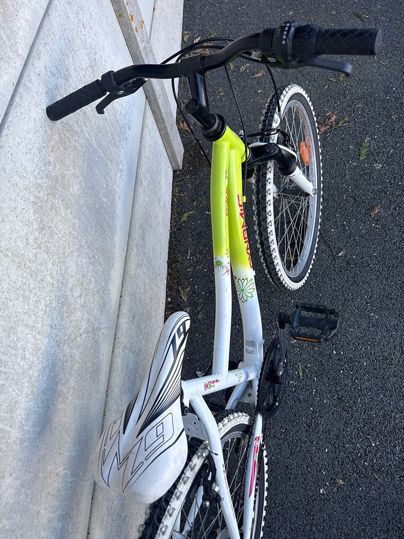 Velo tout terrain fille Dynamic blanc vert