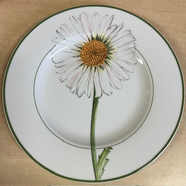 6 Assiettes Plates, Villeroy & Boch, 1748 Flora, Et Country Collection