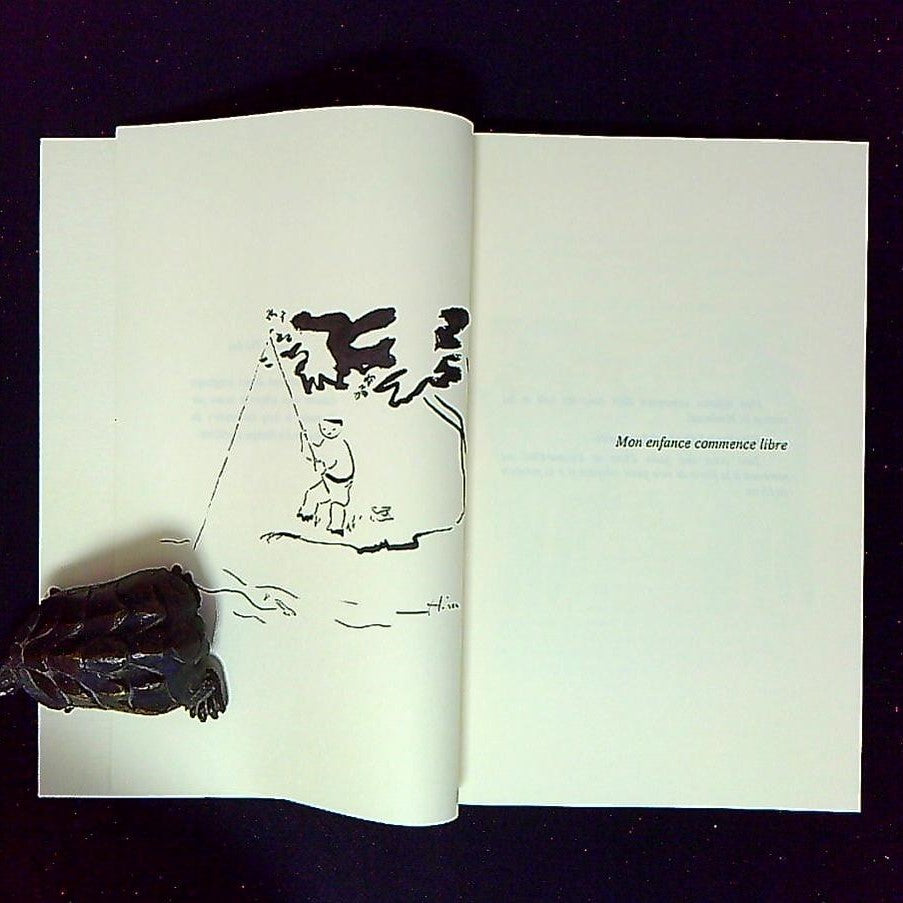 Livre Le Petit Garcon Qui Pêche A La Ligne, Une Vocation Asiatique, Par Jacques Liron