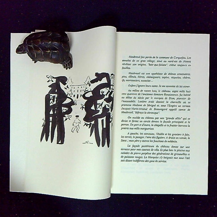 Livre Le Petit Garcon Qui Pêche A La Ligne, Une Vocation Asiatique, Par Jacques Liron