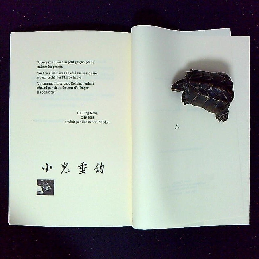 Livre Le Petit Garcon Qui Pêche A La Ligne, Une Vocation Asiatique, Par Jacques Liron