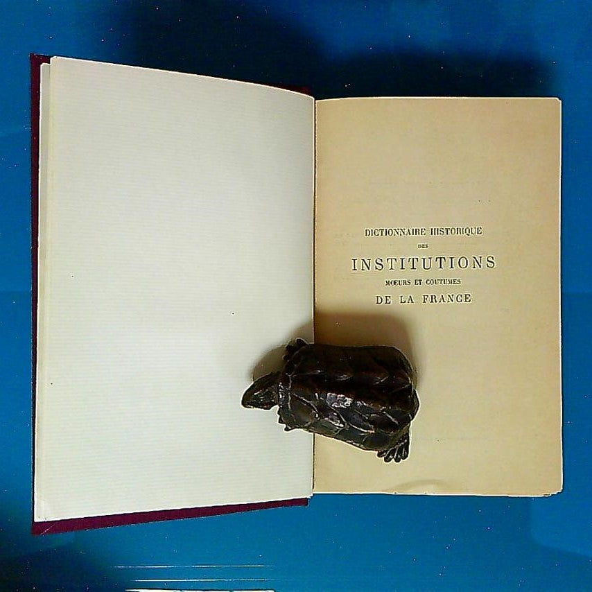 Livre Dictionnaire Historique Des Institutions Moeurs Et Coutumes De La France Par A.Chéruel