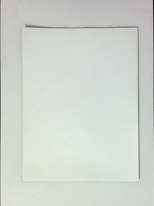 Photo Presse Groupe Rolling Stones Concert