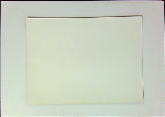 Photo Presse Groupe Rolling Stones Concert