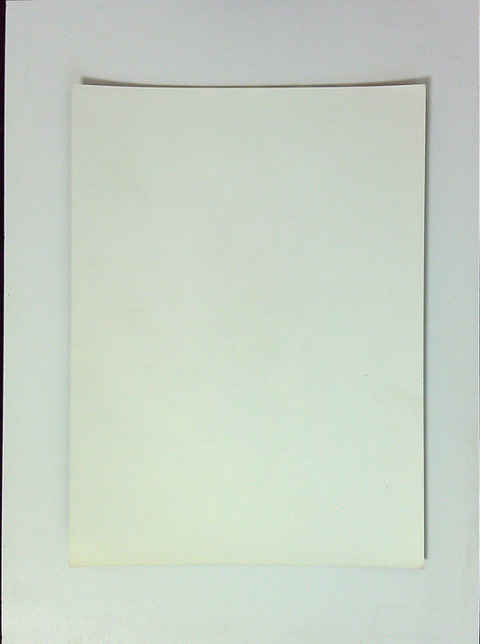 Photo Presse Groupe Rolling Stones Concert