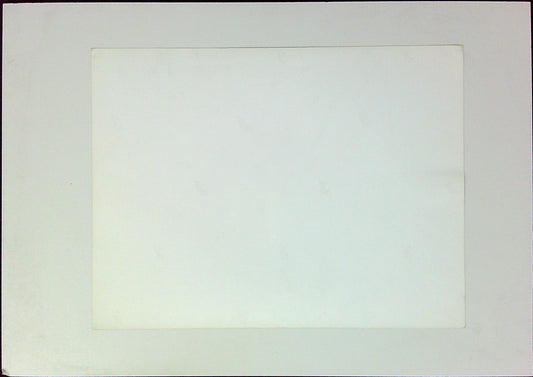 Photo Presse Groupe Rolling Stones Concert