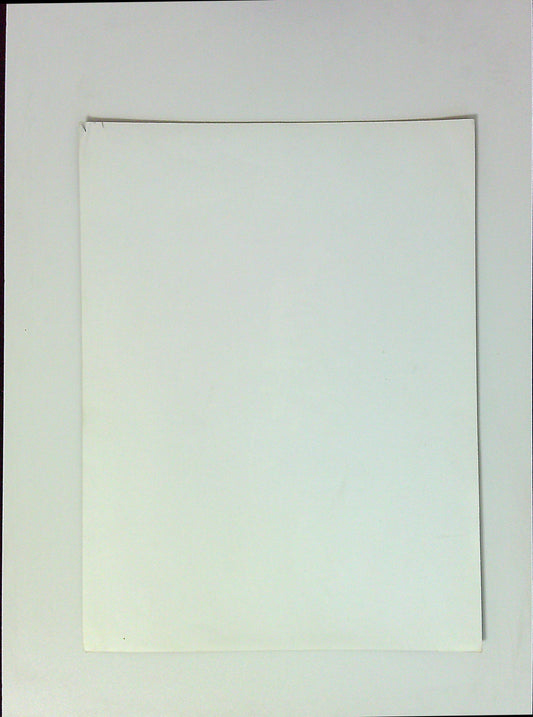 Photo Presse Groupe Rolling Stones Concert