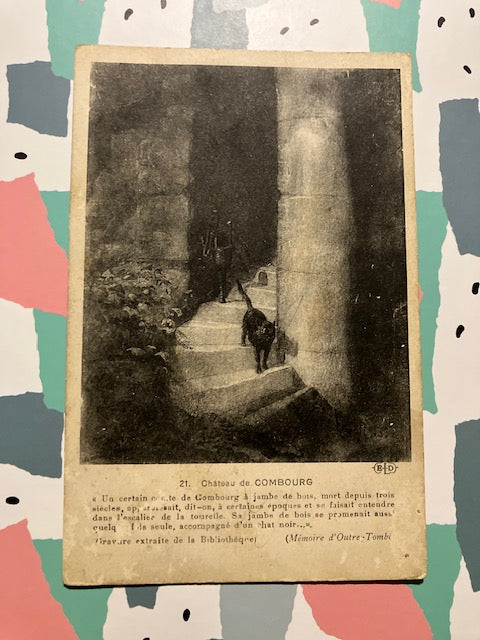 CP 35 Ille et Vilaine Combourg Chateau Escalier Chat