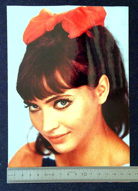 Photo de collection – Anna Karina – Cinéma – Portrait