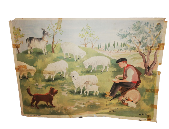 Affiche Carte Scolaire Lithographie images de la vie 107 les moutons berger bergerie troupeau
