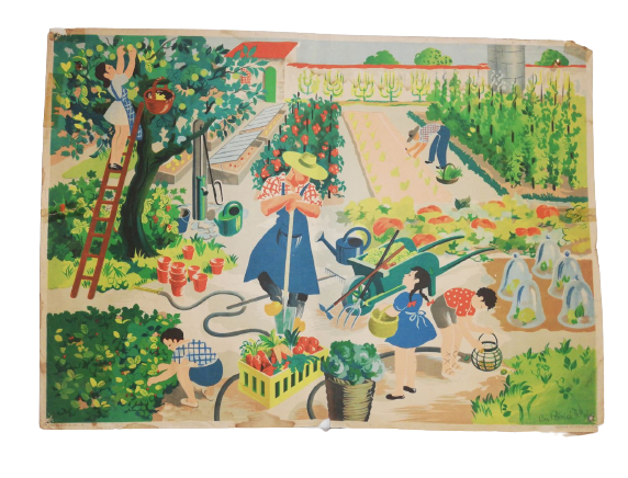 Affiche Carte Scolaire Lithographie images de la vie 13 le potager légumes fruits