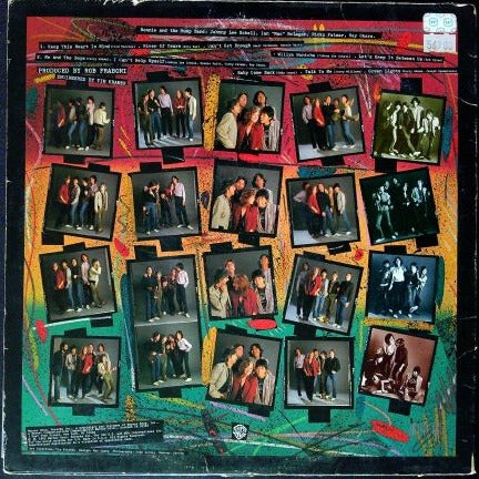 LP Bonnie Raitt – Green Light