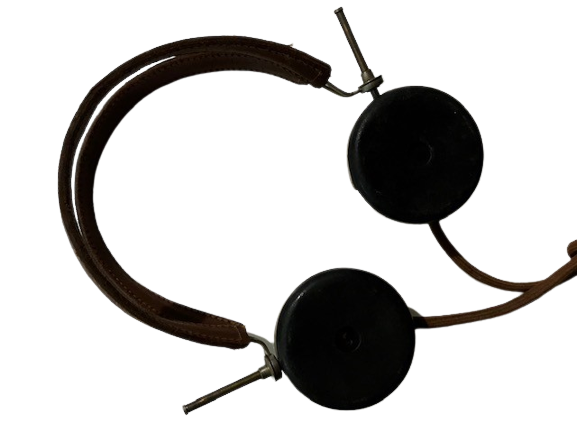 Casques et Écouteurs Panther 500