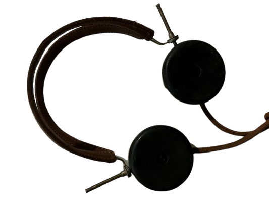 Casques et Écouteurs Panther 500