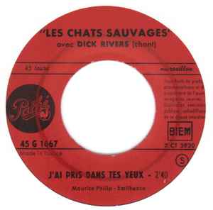 SP Les Chats Sauvages – J’ai Pris dans Tes Yeux - Le Jour J