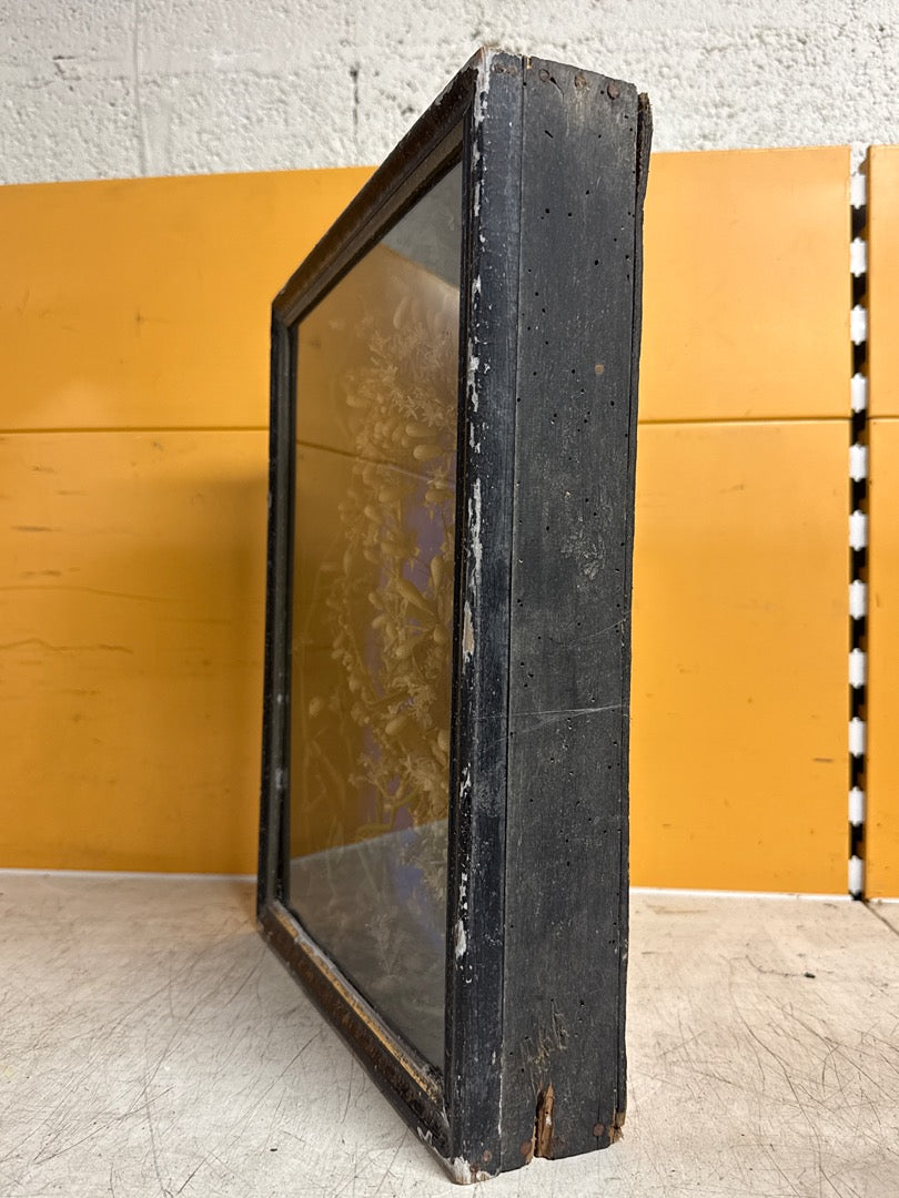Cadre ancien – Herbier artificiel sous verre