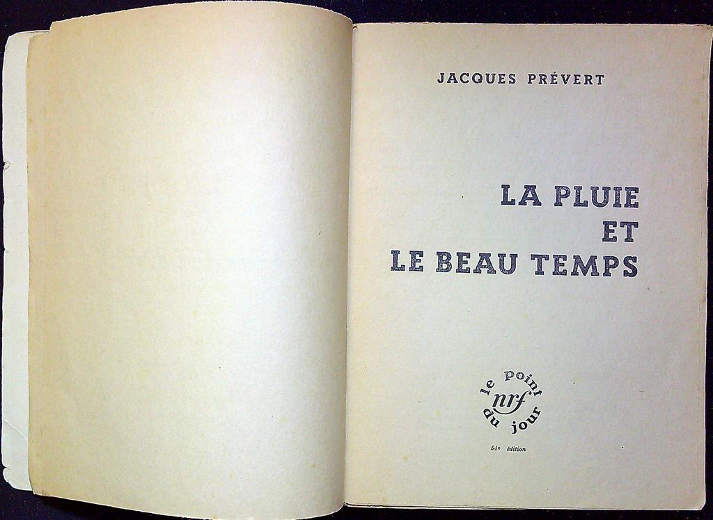 Livre – Gallimard – Littérature – La Pluie et le Beau Temps