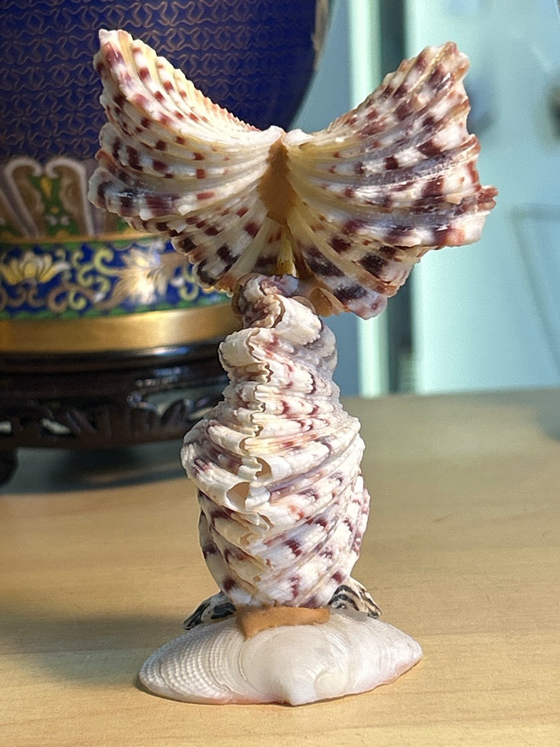 Figurine Chouette / Hibou coquillages