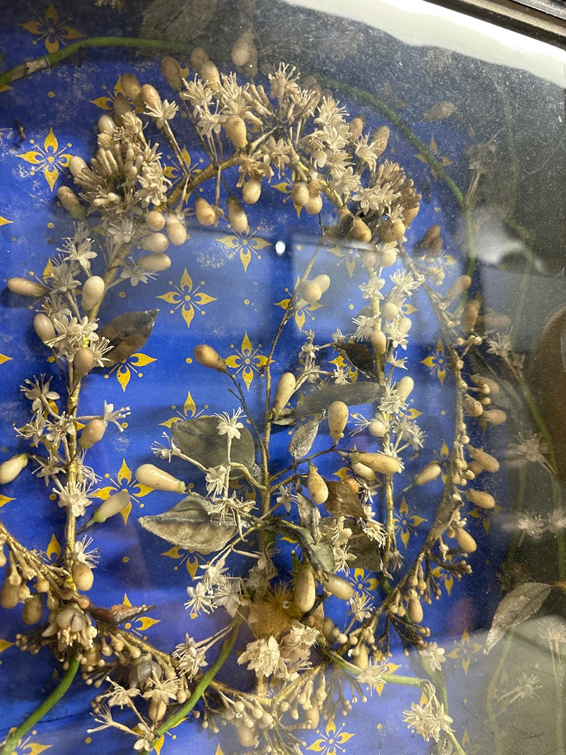 Cadre ancien – Herbier artificiel sous verre