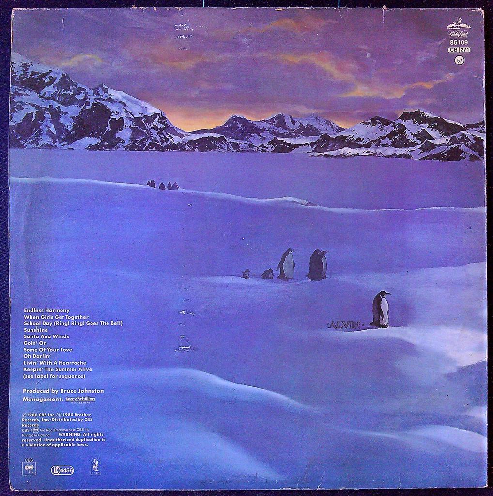 Vinyle The Beach Boys Keepin The Summer Alive Cbs