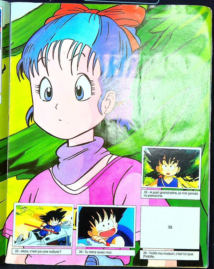 Livre album Dragon Ball Akira Toriyama Sfc Bandai