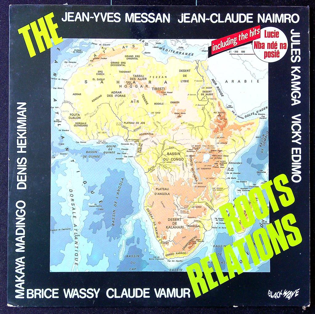 Disque vinyle – Roots Relations – Musique – Afro-groove vintage
