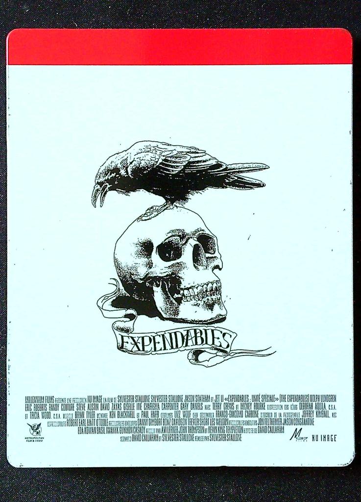 Blu-ray – Expendables : Unité Spéciale – Divertissement – Steelbook collector