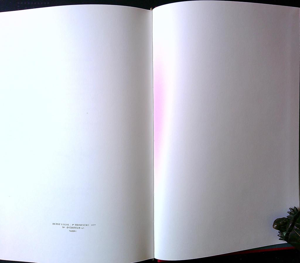 Livre – Jules Verne – Littérature – Réédition Hetzel 1977