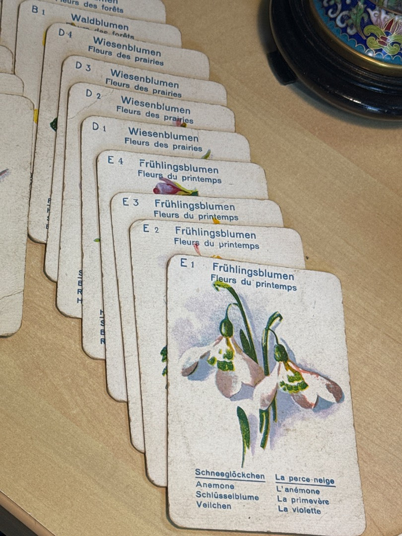 Jeu de cartes – Jeux-spear – Collection – Jeu de Fleurs rouge 7 familles