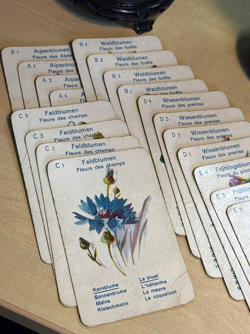 Jeu de cartes – Jeux-spear – Collection – Jeu de Fleurs rouge 7 familles