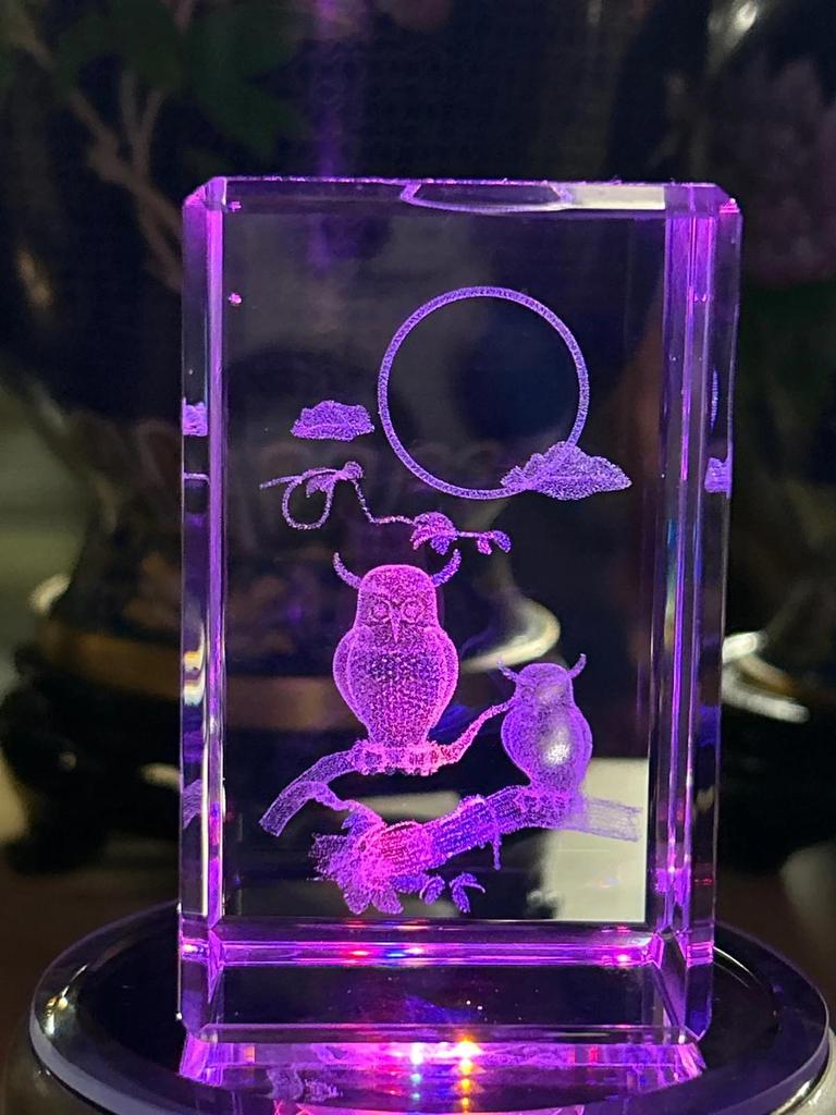 Bloc de verre lumineux représentant des hiboux