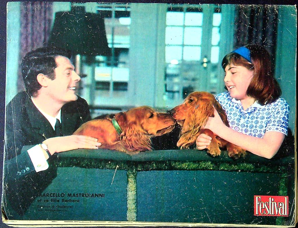 Magazine Festival N° 681 – Cinéma – Roman-photo vintage