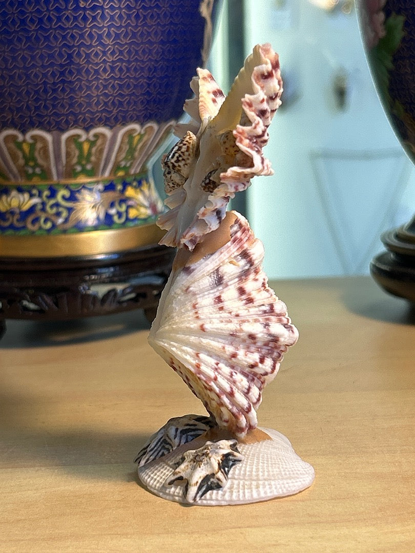 Figurine Chouette / Hibou coquillages