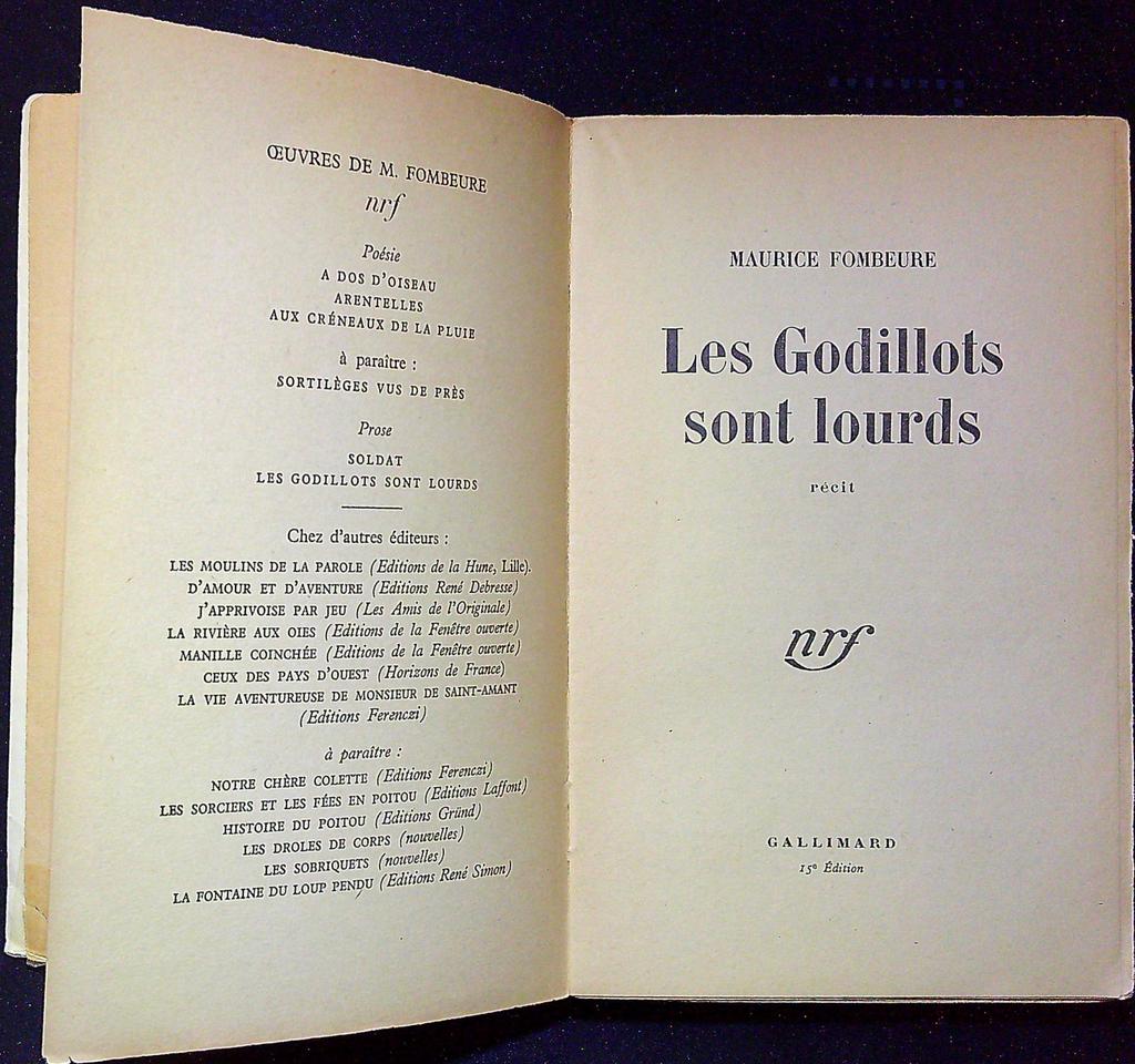 Livre – Gallimard – Littérature – Les Godillots sont lourds