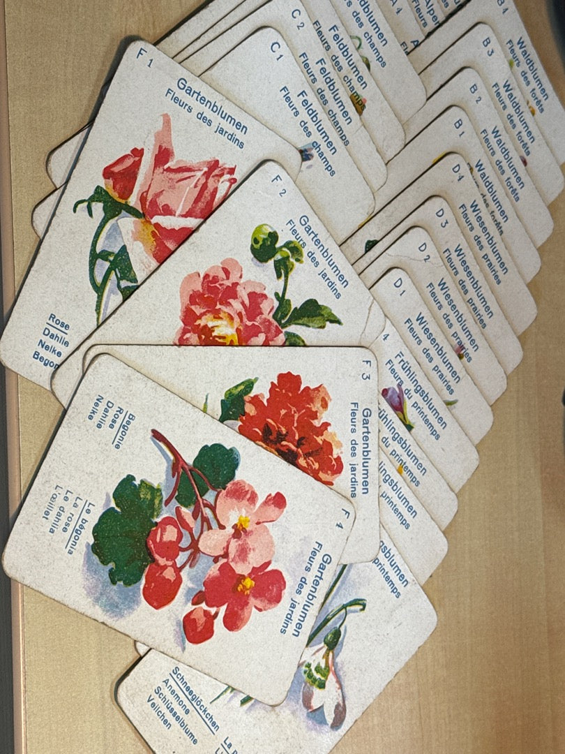 Jeu de cartes – Jeux-spear – Collection – Jeu de Fleurs rouge 7 familles