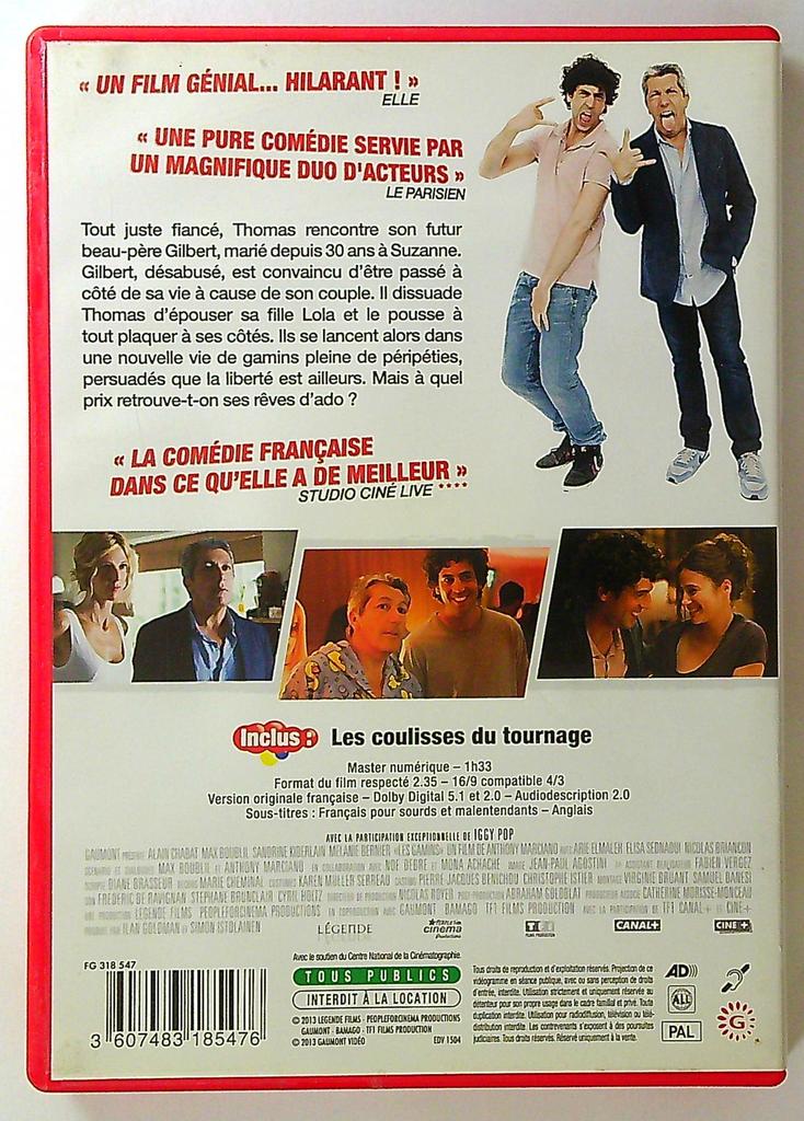 Dvd Les Gamins @gaumont Alain Chabat