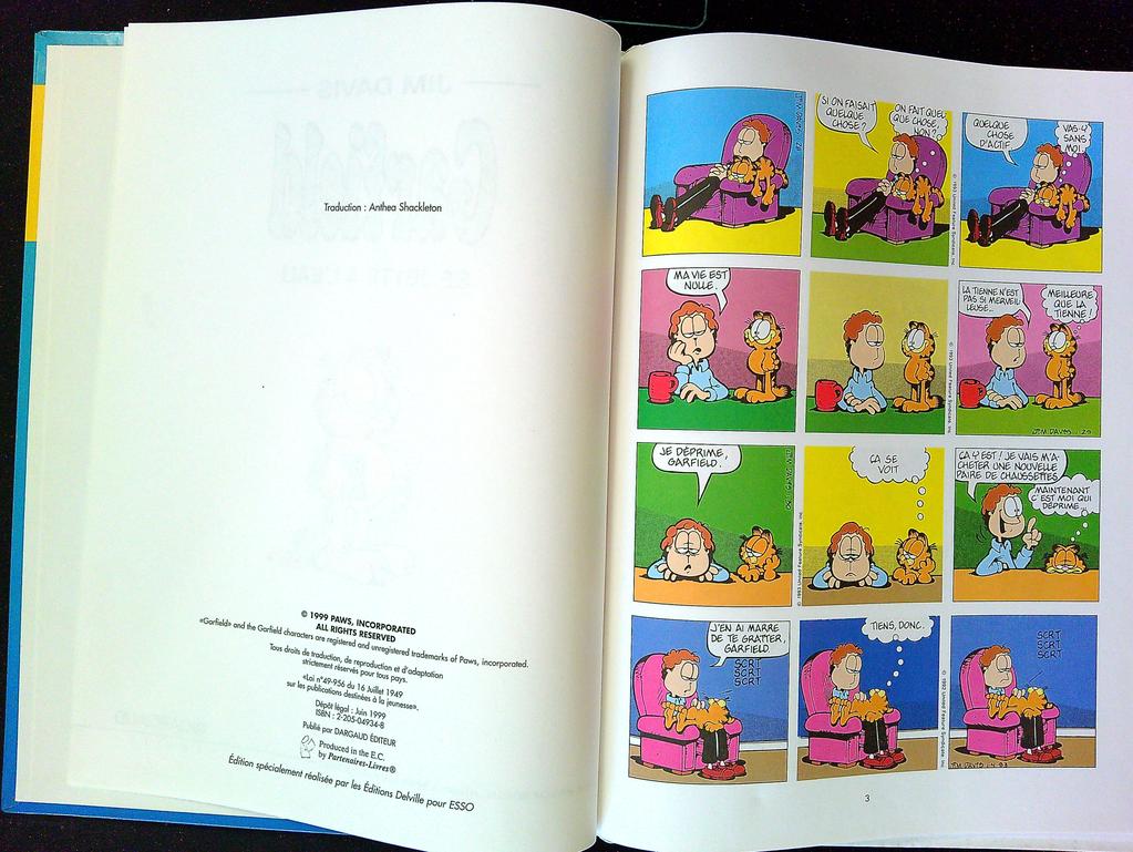 Bd Garfield – Jim Davis – Livres enfants – Se jette à l'eau