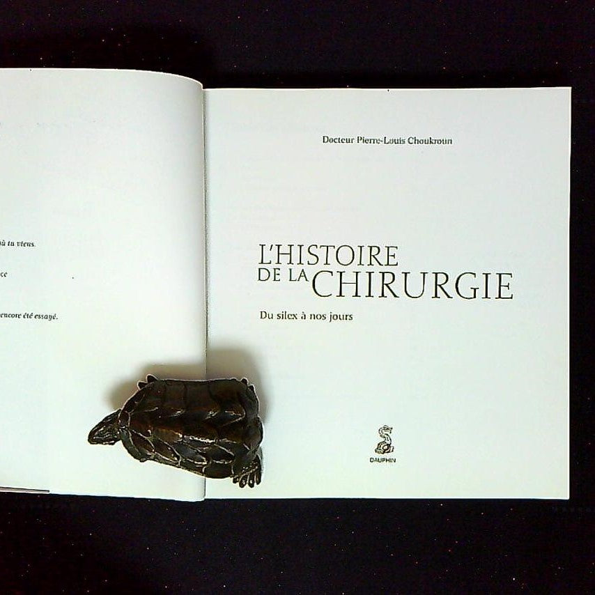 Livre L'histoire De La Chirurgie, Du Silex A Nos Jours, Par Le Docteur Pierre-louis Choukroun