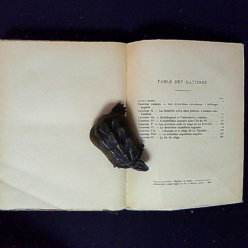 Livre Le Siège De La Rochelle, Par F. De Vaux De Foletier