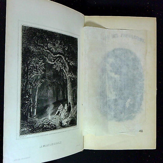 Livre L'Echo Des Feuilletons, Recueil De Nouvelles, Légendes, Anecdotes, Episodes, Etc Par MM J B Fellens Et L P Dufour