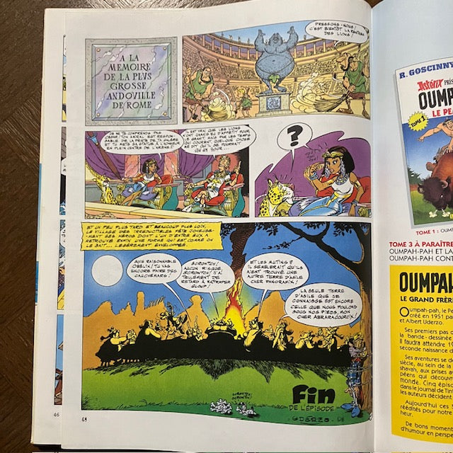 Bande Dessinée, Astérix Et La Galère D'obélix