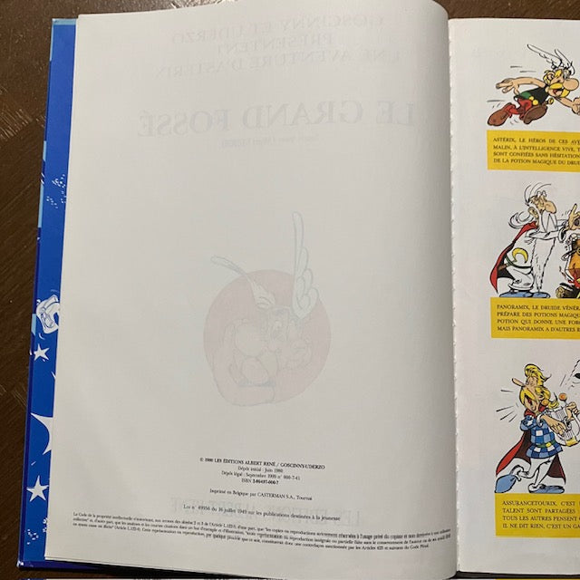 Bande Dessinée, Astérix Le Grand Fossé