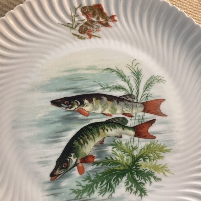 Assiette En Porcelaine De Limoges Geraud Limonfines Décors Poissons D'eau Douce