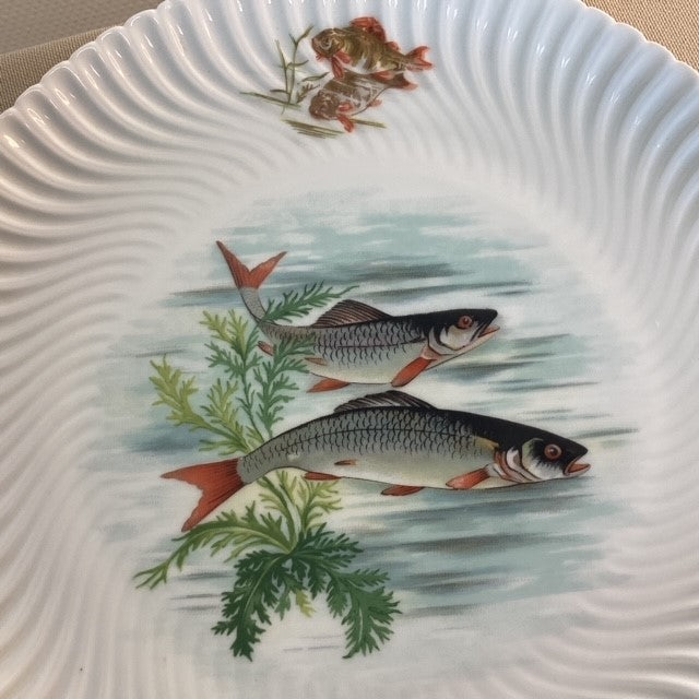 Assiette En Porcelaine De Limoges Geraud Limonfines Décors Poissons D'eau Douce