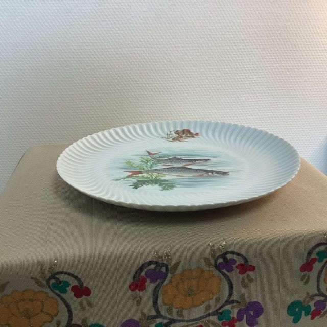 Assiette En Porcelaine De Limoges Geraud Limonfines Décors Poissons D'eau Douce