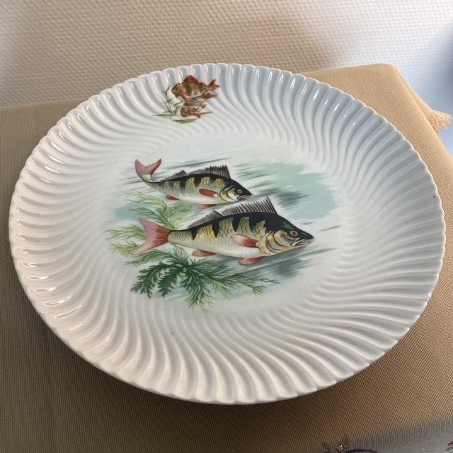 Assiette En Porcelaine De Limoges Geraud Limonfines Décors Poissons D'eau Douce