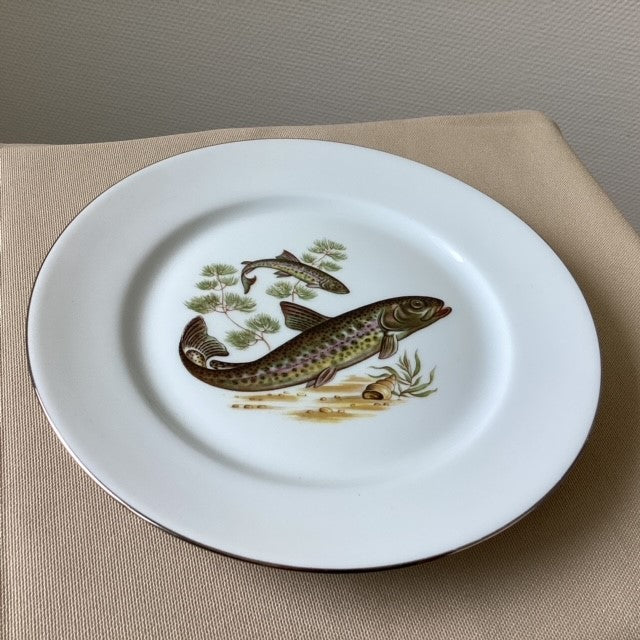 Assiette En Porcelaine De Limoges Décors Poissons D'eau Douce