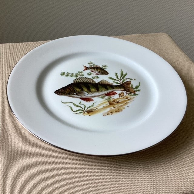 Assiette En Porcelaine De Limoges Décors Poissons D'eau Douce